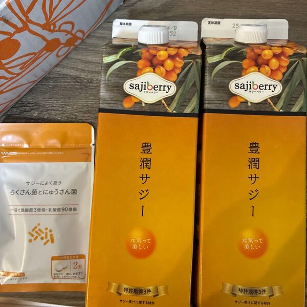 豊潤サジー 1000ml 2本セット らくさん菌とにゅうさん菌 サプリ 1袋