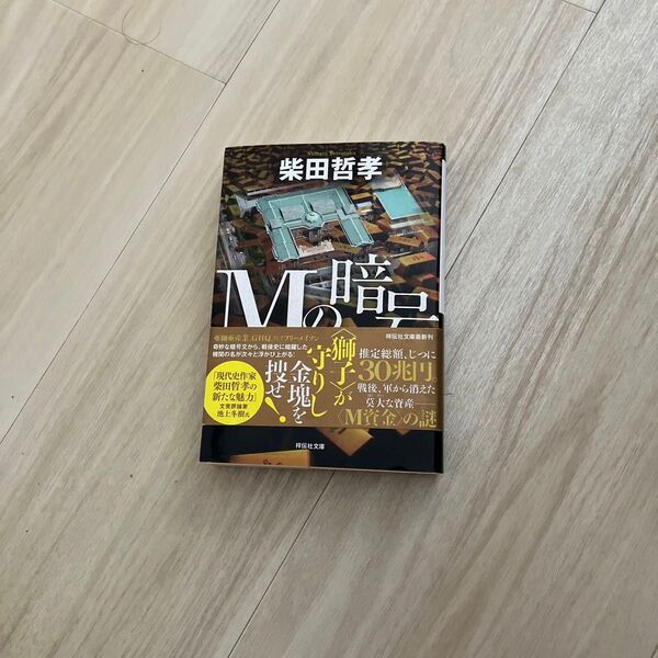 Mの暗号 (祥伝社文庫 し8-12) 柴田哲孝/著