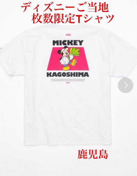 47都道府県ご当地ディズニーTシャツ(抽選限定販売) 鹿児島