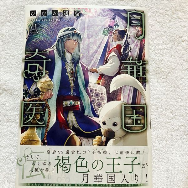 最新刊 月華国奇医伝 第13巻