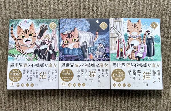 【初版 帯付】異世界猫と不機嫌な魔女3,4,5巻 柏葉ヒロ 3冊セット 完結