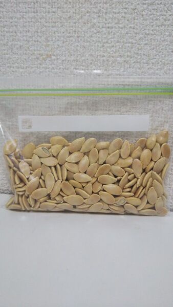 沖縄県産 かぼちゃ 種 殻つき 約56g (約230粒)