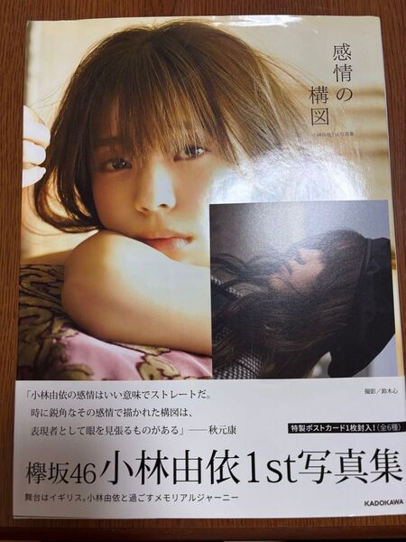 欅坂46 小林由依1st写真集 感情の構図 ポストカード付き