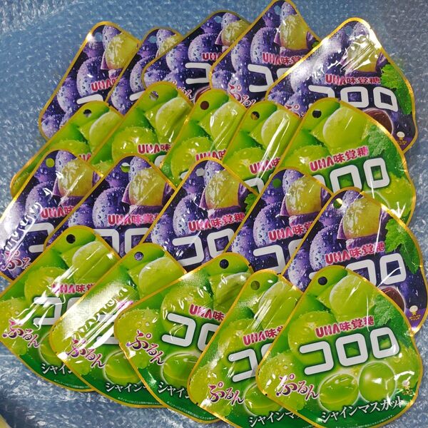 コロロ 巨峰、シャインマスカット 20 点セット(食品クーポン)