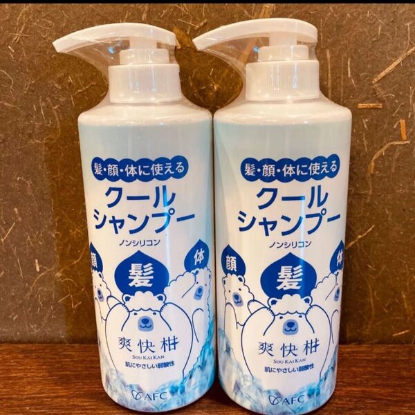 エーエフシー 全身洗浄料 クールオールウォッシュ 爽快柑 2本