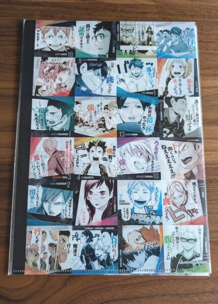 ハイキュー!! A4クリアファイル 2枚セット Powered by Art Coaster アートコースター メモリアルノート