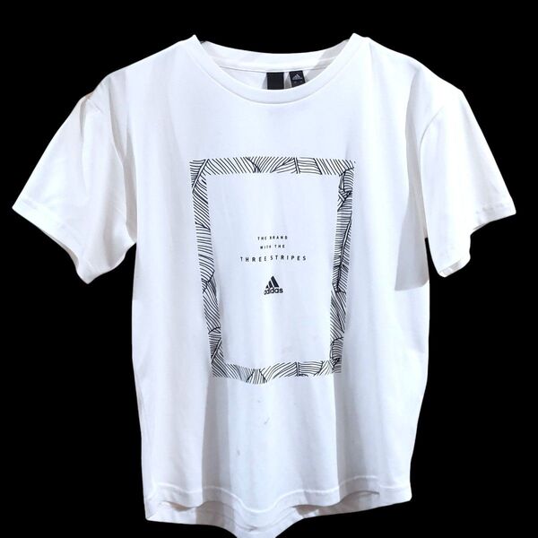 訳あり adidas アディダス レディース Tシャツ ホワイト プリント M