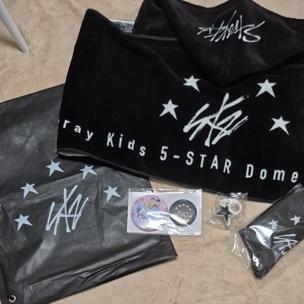 Stray kids SKZ スキズ 5star ドームツアーグッズ アプグレ特典 非売品