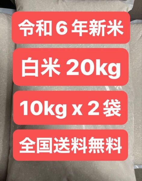 令和6年 新米 白米20kg 10kg x 2袋