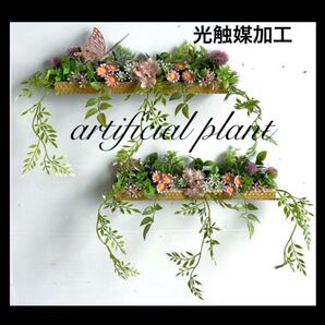 光触媒加工 抗菌消臭 ウォールグリーン フェイクグリーンUm126