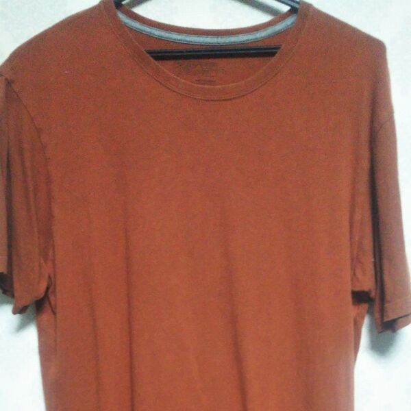PATAGONIA Tシャツ Mサイズ