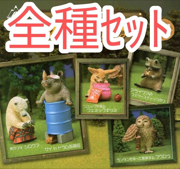 全5種【新品未使用】朝隈俊男のアニマルキャンプ アニ・キャンpart.5 ガチャガチャ カプセルフィギュア フィギュア