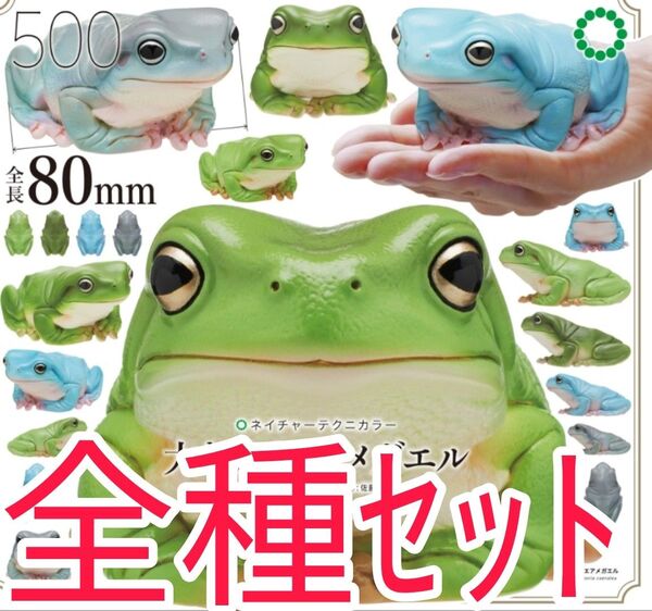 全種セット【新品未使用】NTC 大きなイエアメガエル ガチャガチャ カプセルフィギュア ネイチャーテクニカラー いきもん