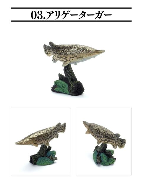 【新品未使用】いきもの大図鑑ミニコレクション 古代魚 アリゲーターガー ガチャガチャ カプセルフィギュア 生き物図鑑 フィギュア
