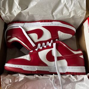 NIKE DUNK LOW RETORO 新品未使用