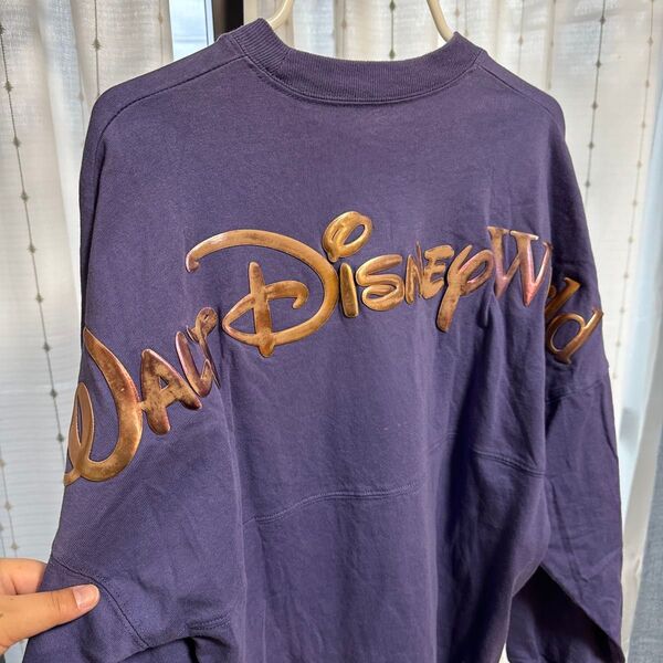 ウォルトディズニーワールド50周年記念 限定 スピリットジャージー ロンT ディズニー 長袖 長袖Tシャツ Tシャツ コットン