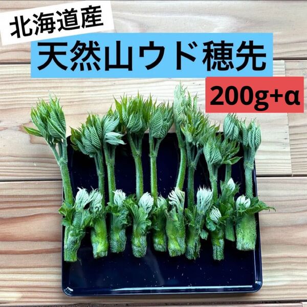 北海道産天然山ウド 天ぷら用穂先 お試しパック 200g!
