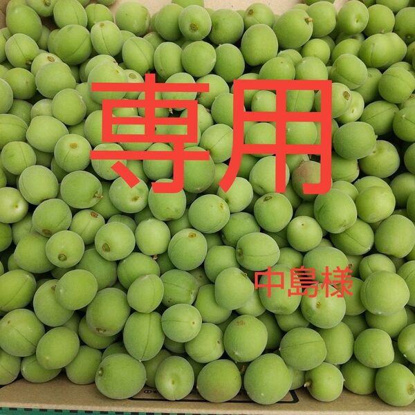 専用 梅 3kg 無農薬 長野県産 信州産