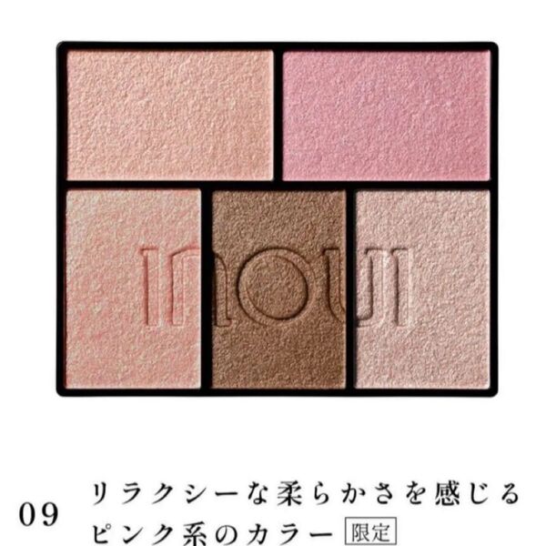 アイズ 09 限定色#インウイ#アイシャドウ#限定カラー#母の日#INOUI インウイ アイズ (レフィル)