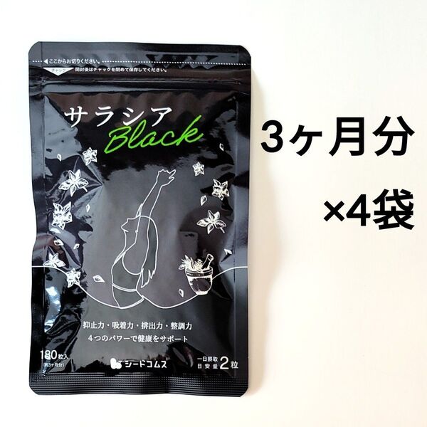 約12ヶ月分 サラシアブラック シードコムス サプリメント 炭 チャコール