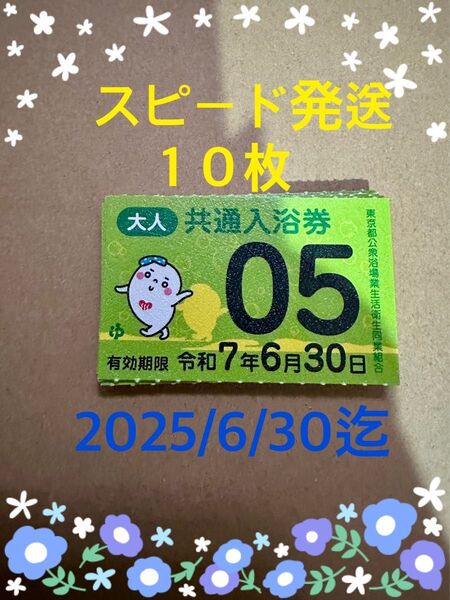 共通入浴券 大人10枚 2025/6/30迄