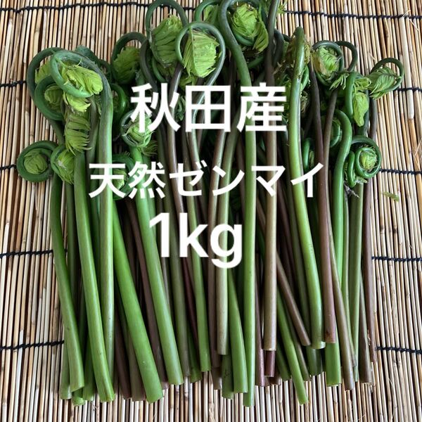 秋田産天然ゼンマイ【箱込み1kg】