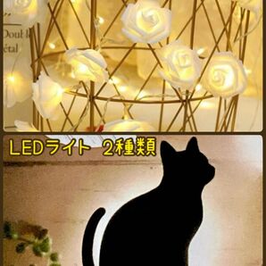 LEDライト 2種類