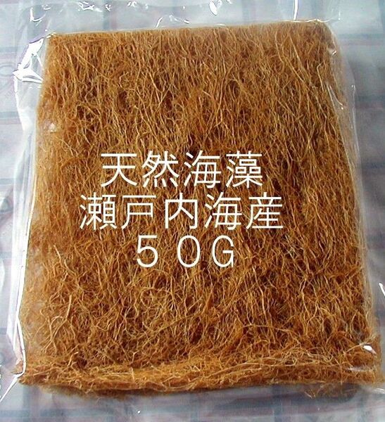 天然の海藻 海草 イギス いぎす 海藻 瀬戸内海産 50G袋 天然海産物 無添加 無漂白
