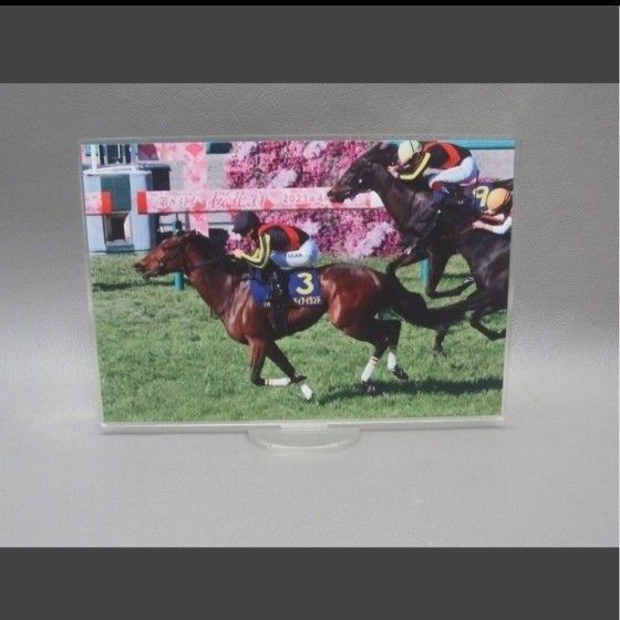 新品 リバティーアイランド JRA 競馬 アクリルスタンド /348/ 推し