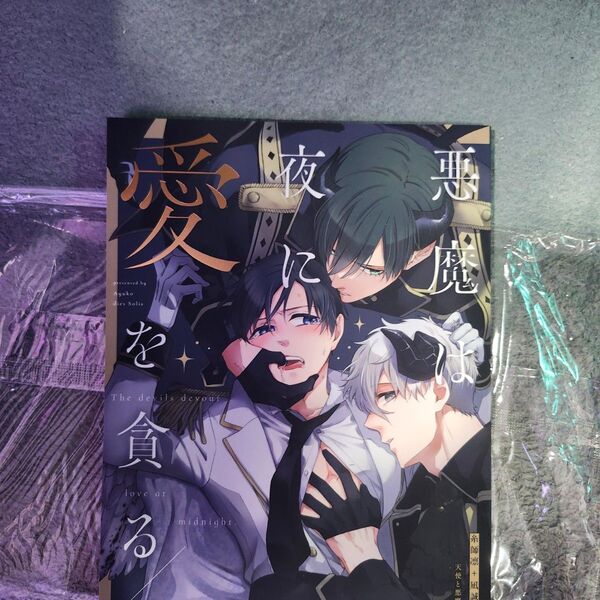 凪凛潔 同人誌 悪魔は夜に愛を貪る