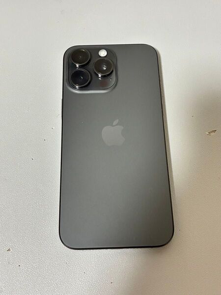 超美品 iPhone15 Pro Max 256GB ブラックチタニウム SIMフリー 中国版 バッテリー96