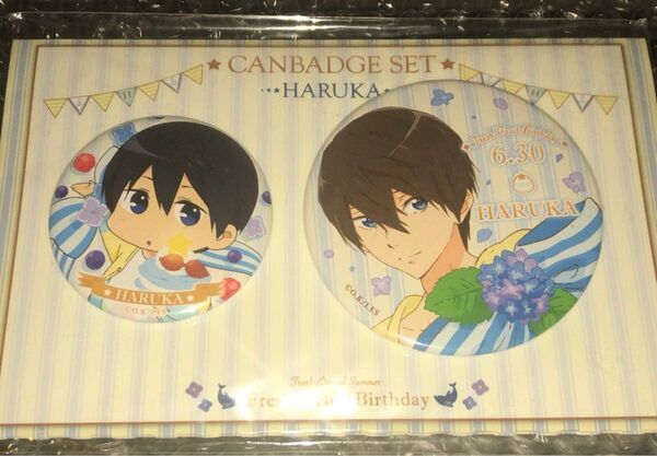 最安値★Free! ES★バースデー缶バッジセット★BIRTHDAY★ハイスピード★七瀬遙