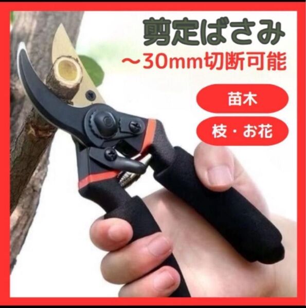 再入荷 剪定 ばさみ ハサミ 枝切り ガーデニング 園芸 剪定バサミ 庭木 植木