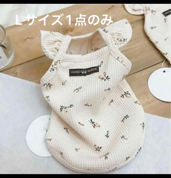 【春夏新作】ベージュフリルTシャツ ペット服 犬服 ドッグウェア
