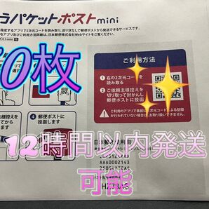 ゆうパケットポストミニ 封筒50枚 24時間以内発送可能