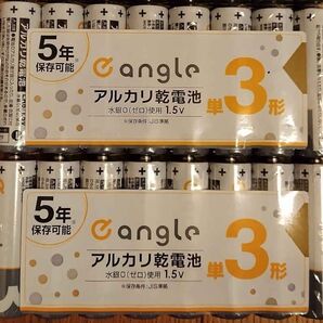 単3アルカリ乾電池16本