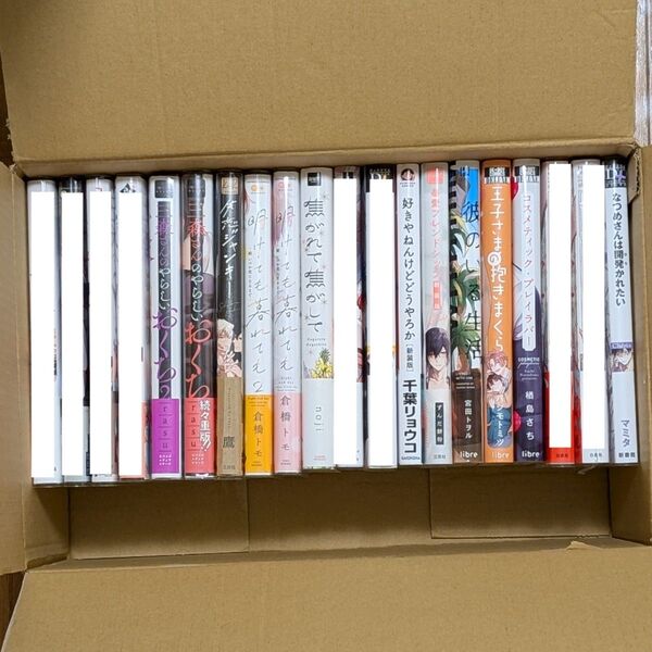 bl漫画 まとめ売り