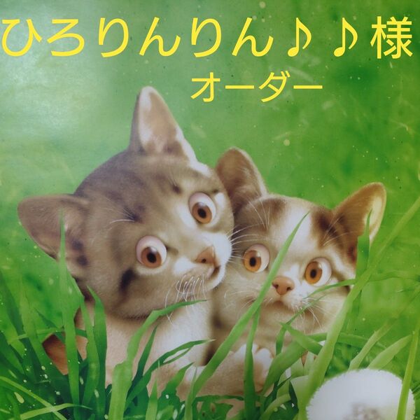 ひろりんりん♪♪様オーダーがま口メガネケース(ペンケース)ハンドメイド