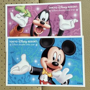 ディズニー チケット ペア 2枚 ランド シー