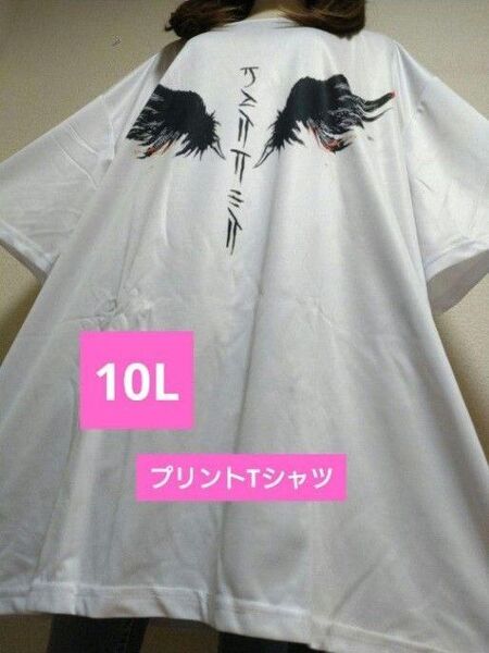 新品10L★プリントTシャツ