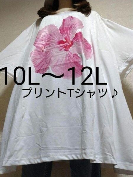 新品10L〜12L★プリント★ハイビTシャツ