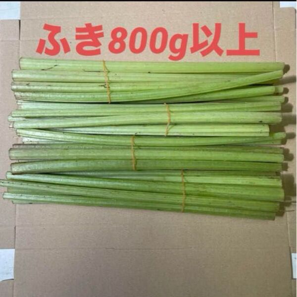 ふき ネコポスいっぱい800g以上 200g×4 山菜 無農薬
