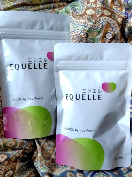 2袋×120粒 大塚製薬 エクエル パウチタイプ エクオール EQUELLE