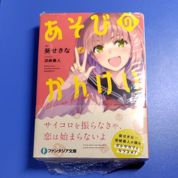 あそびのかんけい (富士見ファンタジア文庫 あ-3-7-1) 葵せきな/著