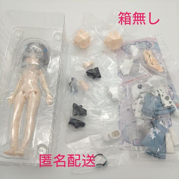 箱無し☆自由主張スタジオ 電子ペット デジタルペットの仮想世界 あざらし