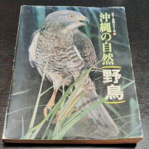 沖縄の自然 野鳥 カラー百科シリーズ②
