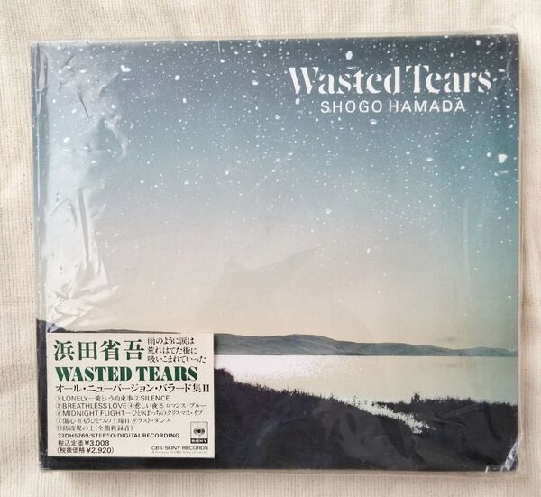 浜田省吾/Wasted Tears ウェイステッド・ティアーズ☆美品 ブックレット付 CDアルバム