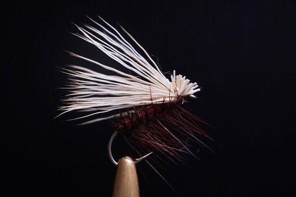 エルクヘアカディス ブラウン 5本入り ドライフライ