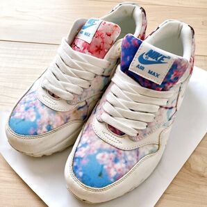 Nike Air Max 1 Cherry Blossom Pack ナイキ エアマックス1チェリーブロッサム 桜サクラ