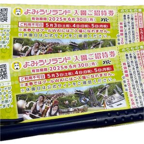読売ランド 入園招待券 2枚